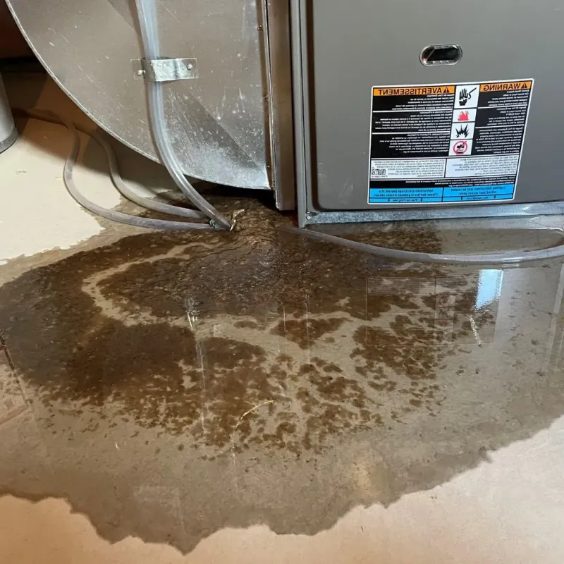 Pipe Burst and Leak Restoration in Cascade Locks, OR
